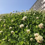 宅建業と方向音痴